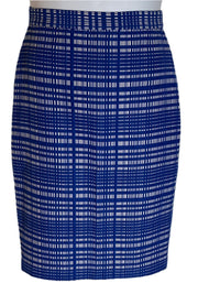 Banana Republic -Blue and White Plaid Pencil Skirt (size 6)